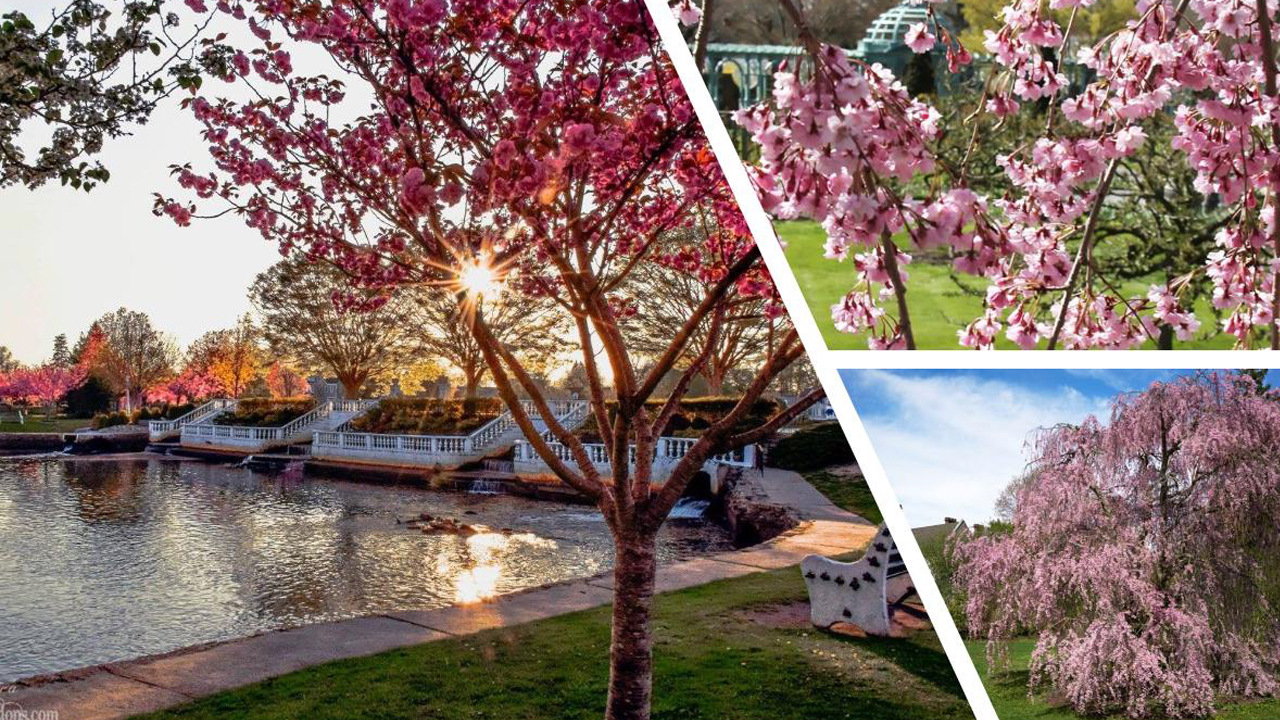 Pink. Pinker. Long Island.