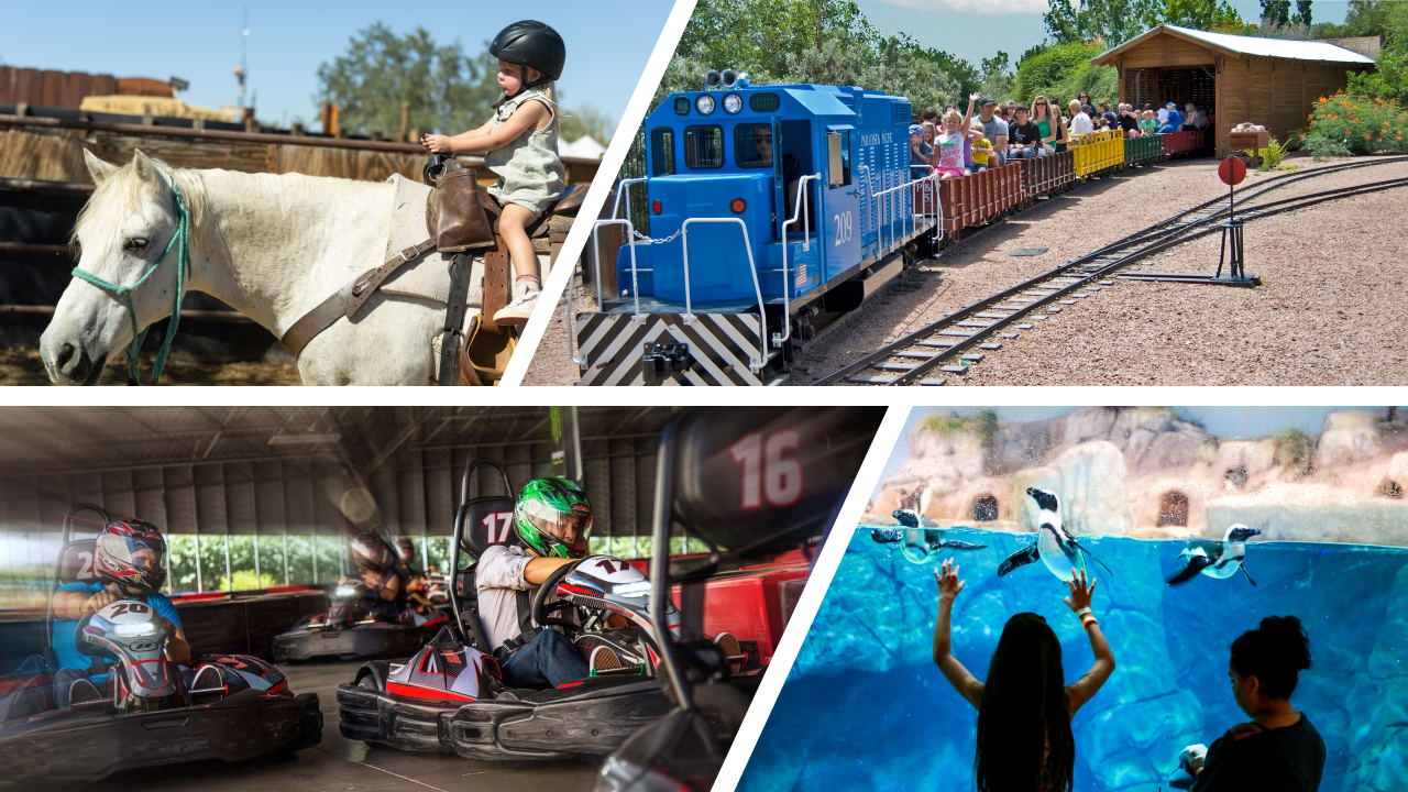 Von Wüstenausritten bis zu Wasserspaß: Die besten Erlebnisse für Familien in Scottsdale