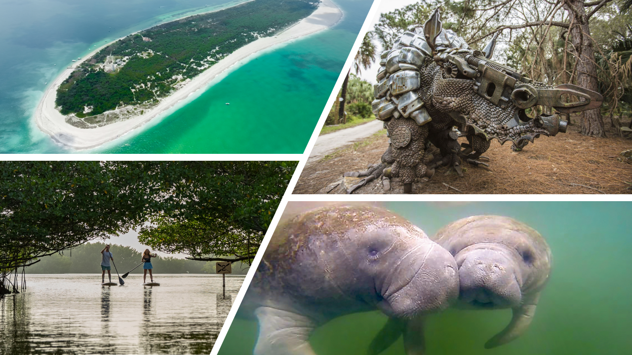 Naturparadies St. Pete-Clearwater: Wo sich Manatees treiben lassen und Delfine Kreise ziehen