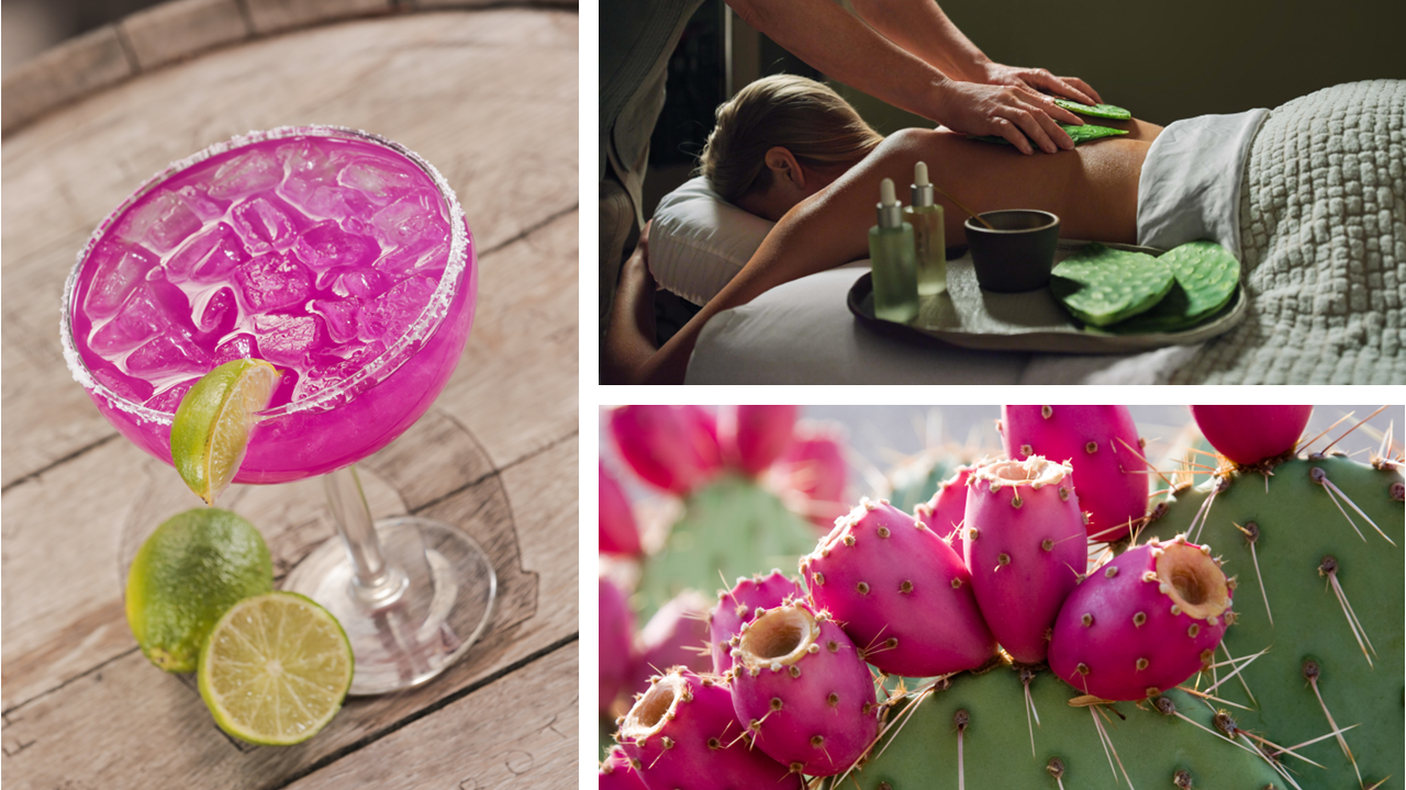 Kleine Frucht ist ein großer Star: Auf den Spuren der Prickly Pear in Scottsdale