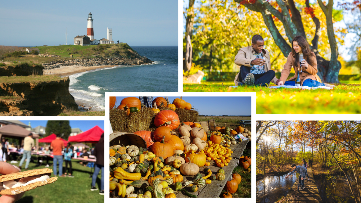 Long Island im Herbst:Zwischen Weinbergen, Apfelgärten und Farmabenteuern