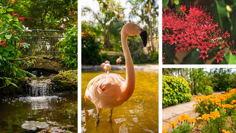 Das ganze Jahr lang grün: Die schönsten Gartenoasen in St. Pete-Clearwater